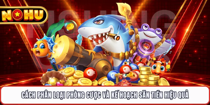 Cách phân loại phòng cược và kế hoạch săn tiền hiệu quả